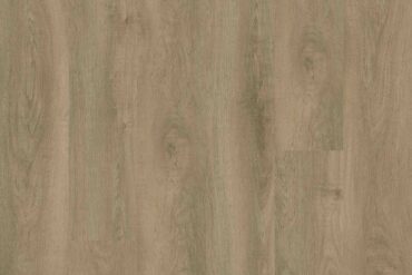 Sandstone Oak